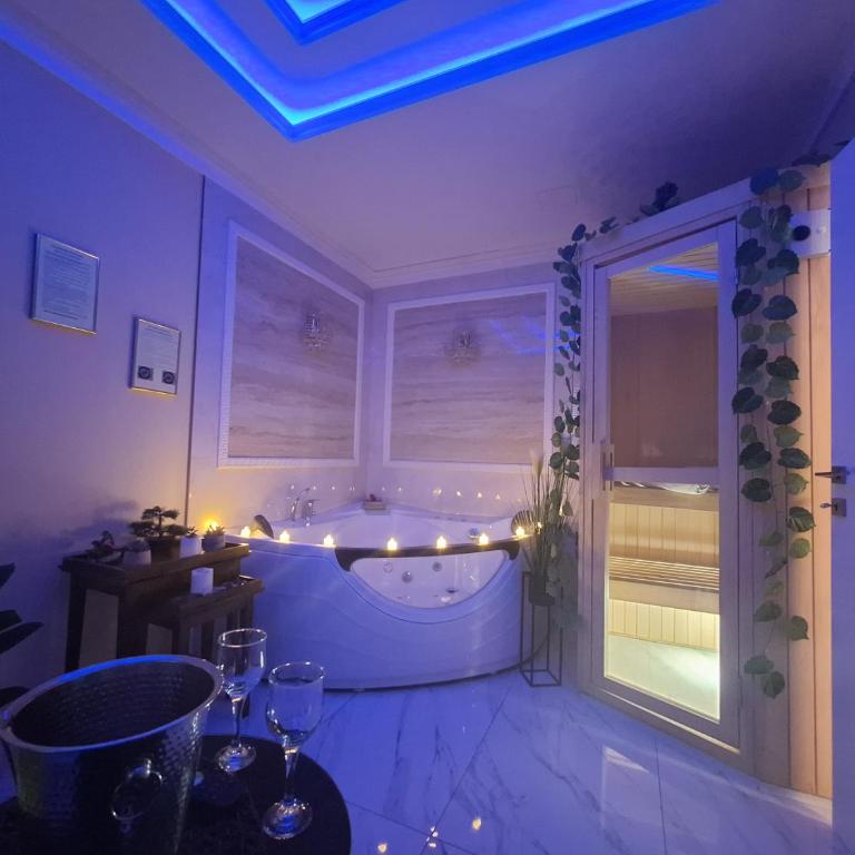 Spa Apartman Banja Luka - Apartman sa 1 Spavaćom Sobom - 1