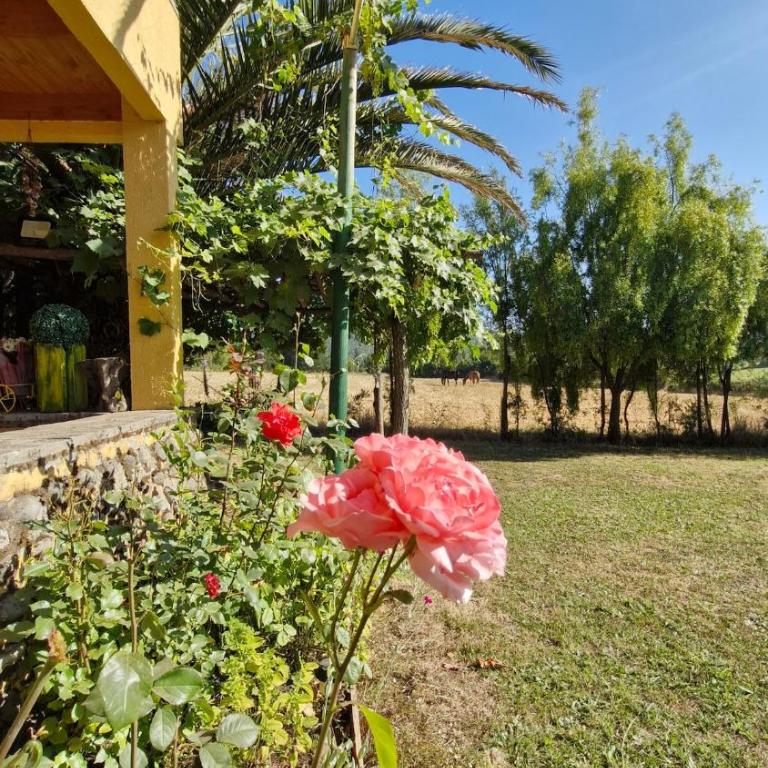 Hermosa Casa de campo con vista a la montaña - Three-Bedroom Chalet - 35