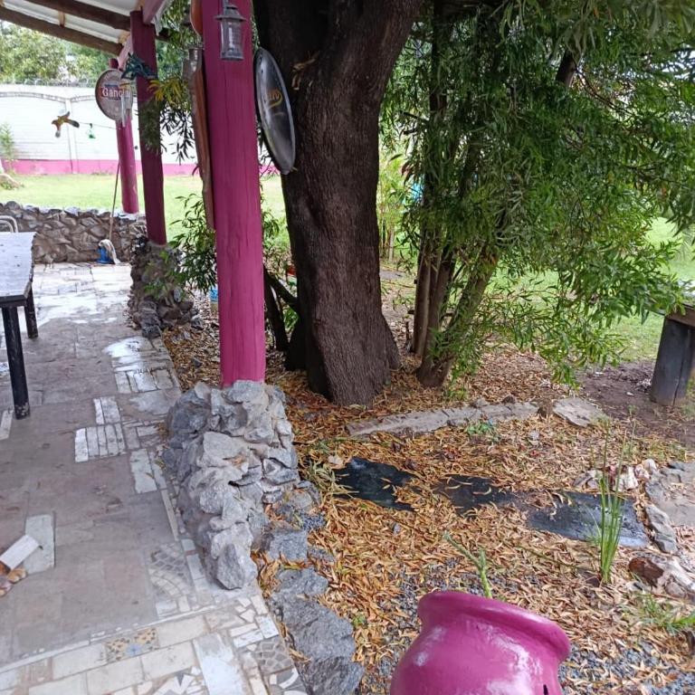 El Arte-Sano - Apartamento de 1 dormitorio - 18