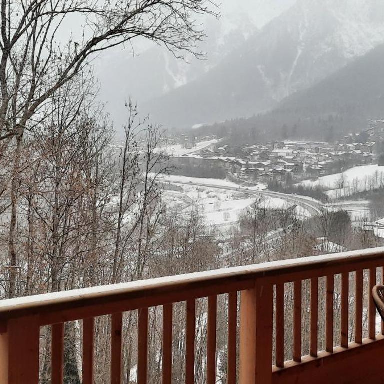 Appartement esprit chalet, proche remontées avec garage - Appartement 2 Chambres avec Vue sur la Montagne - 38