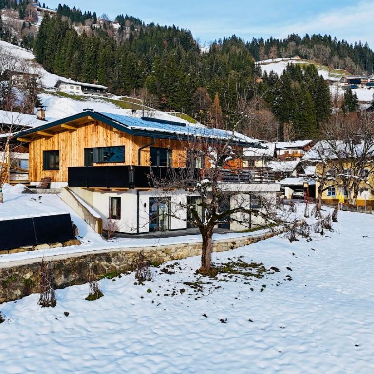 Alpenchalet zurHinterochsenweide SKI IN & SKI OUT - Apartment mit 2 Schlafzimmern und Dusche - 1