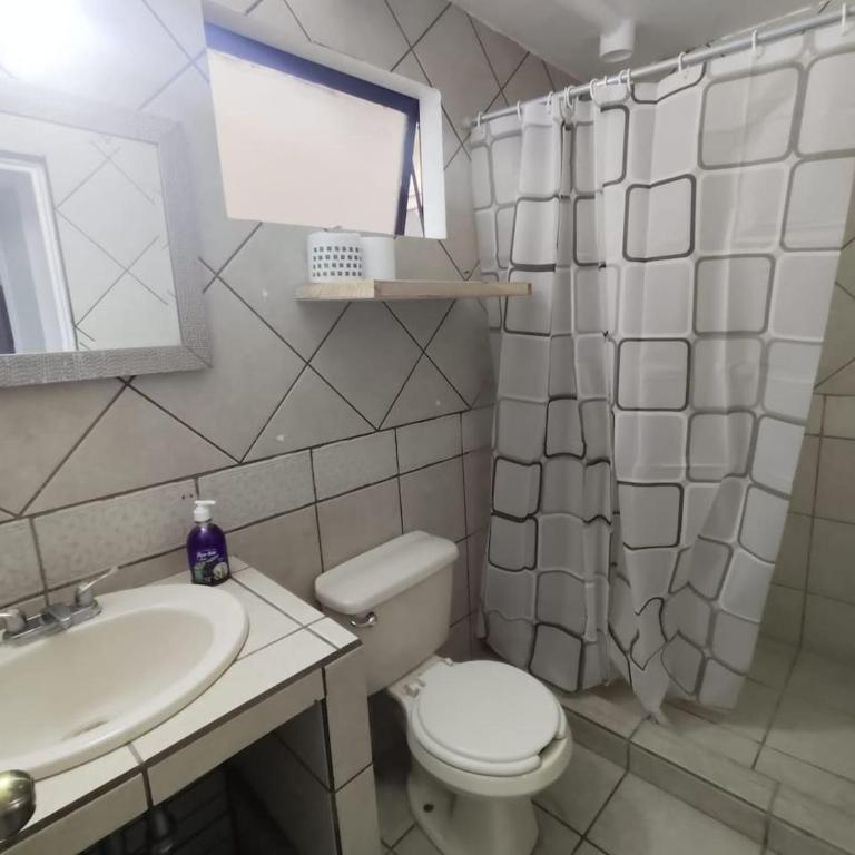 Depto 2 recs, 6 camas , Tultipark y Tultepark - Apartment - 5