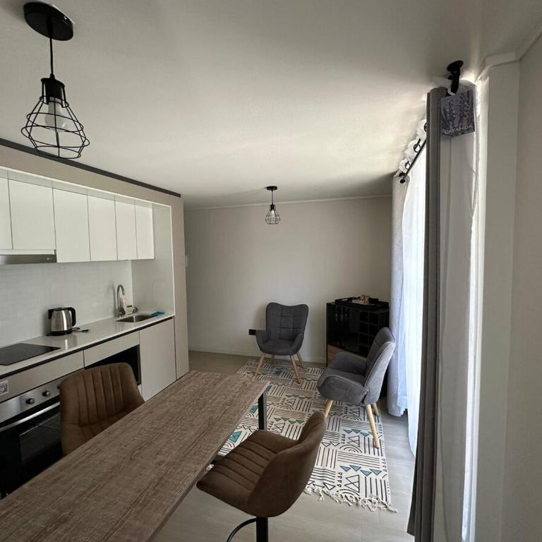 Minimalism and Comfort in the heart of Santiago - One-Bedroom Apartment - 8