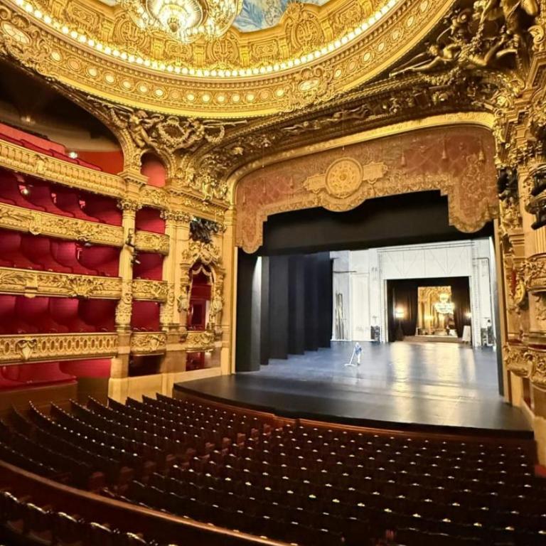 Chambre T3 au cœur du Paris culturel Théâtres opéra Garnier - Chambre Double - 19