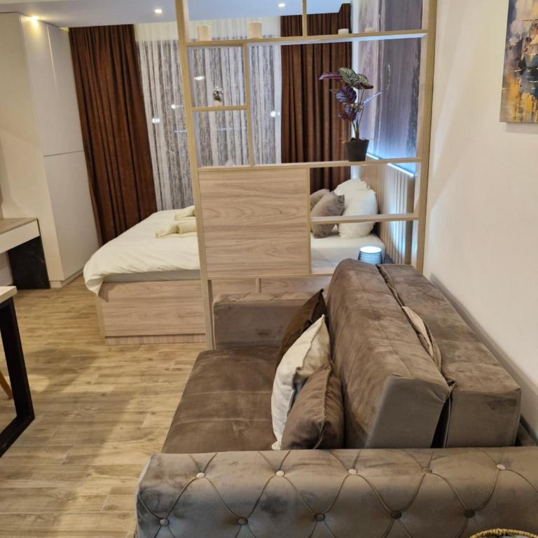 Apartman Andjelkovic Hill - One-Bedroom Apartment - 4