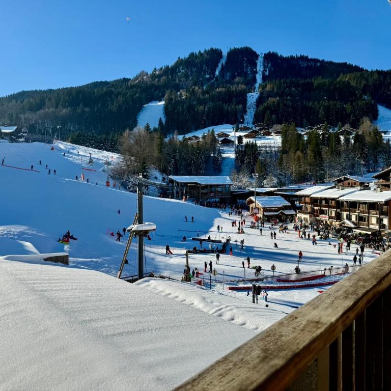 La clusaz Centre village , pied des pistes, 42 m2 , balcon sud vue montagne - Appartement 1 Chambre - 13