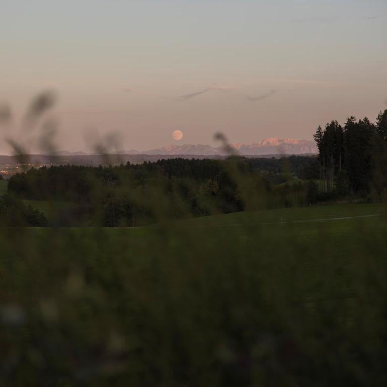 sona Suites Allgäu - Suite Balance - Sauna & Naturblick - Apartment mit 1 Schlafzimmer und Gartenblick - 14