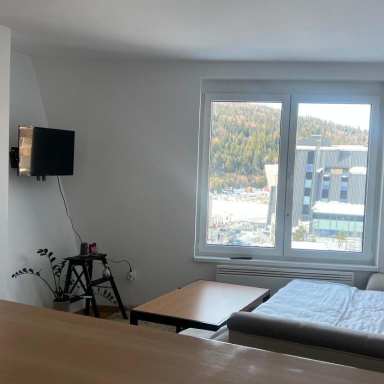 Apartment Bjelašnica 8 - Garage parking included - Apartman sa 1 Spavaćom Sobom - 8