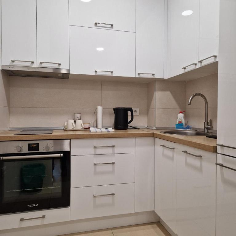 Stan na Dan 26 - Apartman sa 1 Spavaćom Sobom - 10