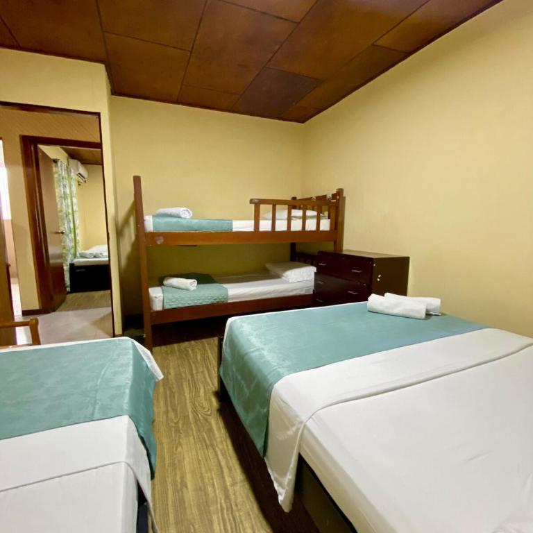 Casa Nativa del Centro Island - Apartamento de 1 dormitorio - 4