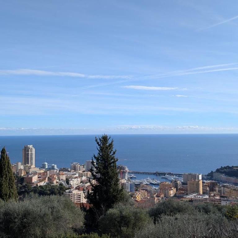 Le Mas d'Angeline-Vue mer panoramique, jardin partagé, parking, voiture indispensable, route étroite et pentue, à 10 min de Monaco - One-Bedroom Apartment with shower - with sea view - 21