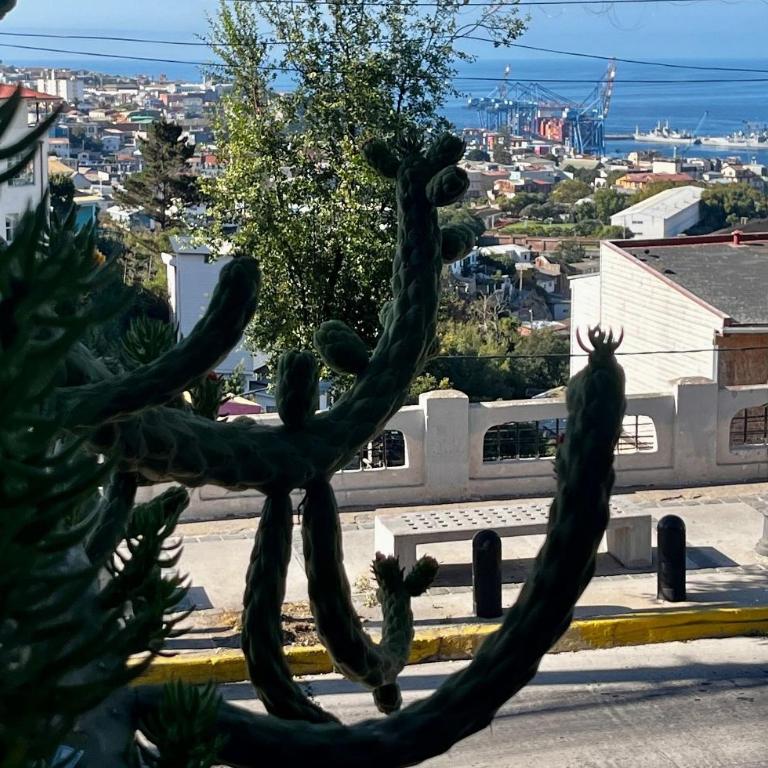 Casa Living Valparaiso - Apartamento de 2 dormitorios - 16