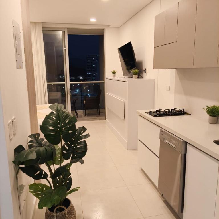 Del Vento Ocean View- Modern & Full Comfort - One-Bedroom Apartment - 7