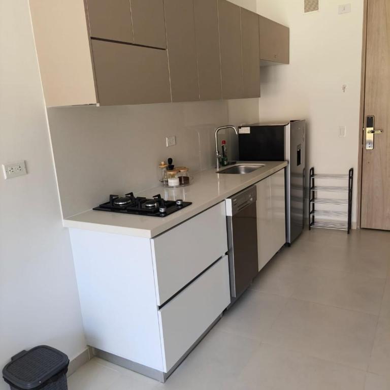 Apartment 200 m from the beach, Pozos Colorados, Cabo Tortuga - One-Bedroom Apartment - 20