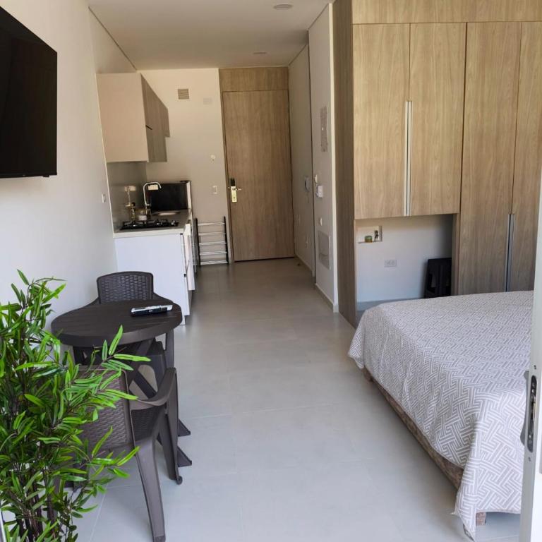 Apartment 200 m from the beach, Pozos Colorados, Cabo Tortuga - One-Bedroom Apartment - 21