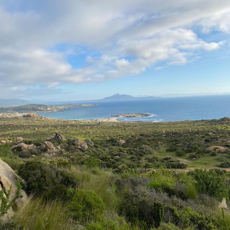 Hometotoralillo - Two-Bedroom Apartment - 25