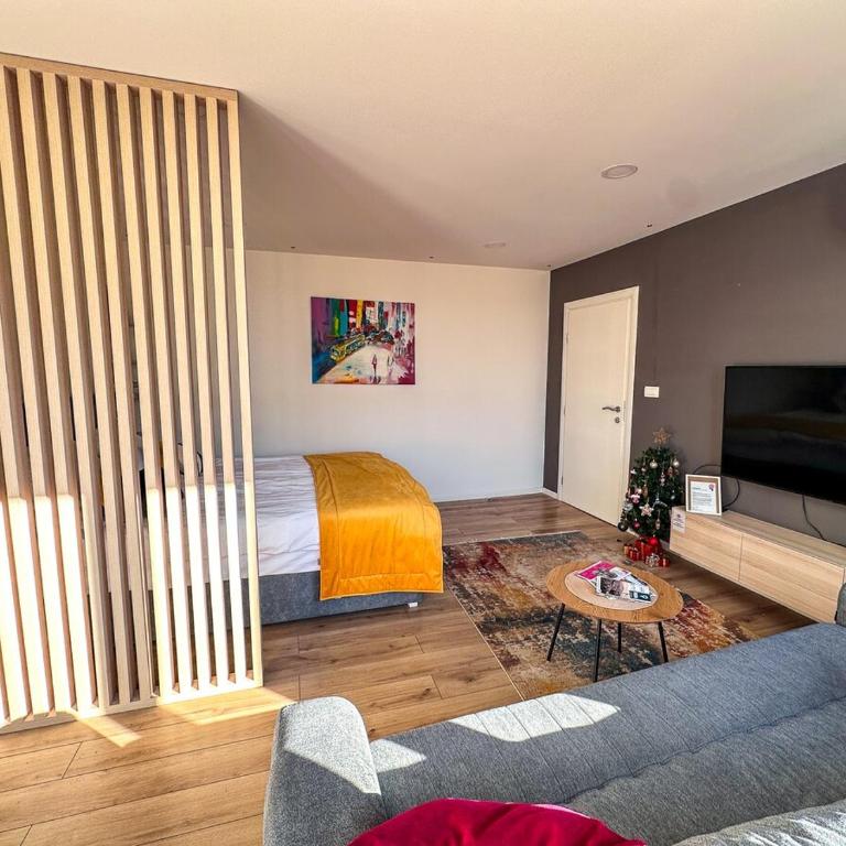 Apartment Orhideja - Apartman sa 1 Spavaćom Sobom - 6