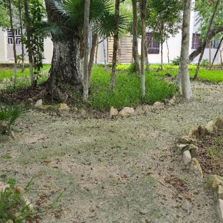 Casa Luhami - Two-Bedroom House - 9