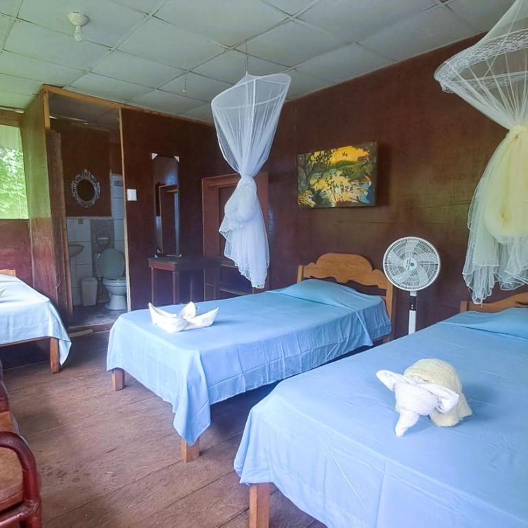Jacamar Lodge Expeditions - Habitación Triple con baño privado - 1