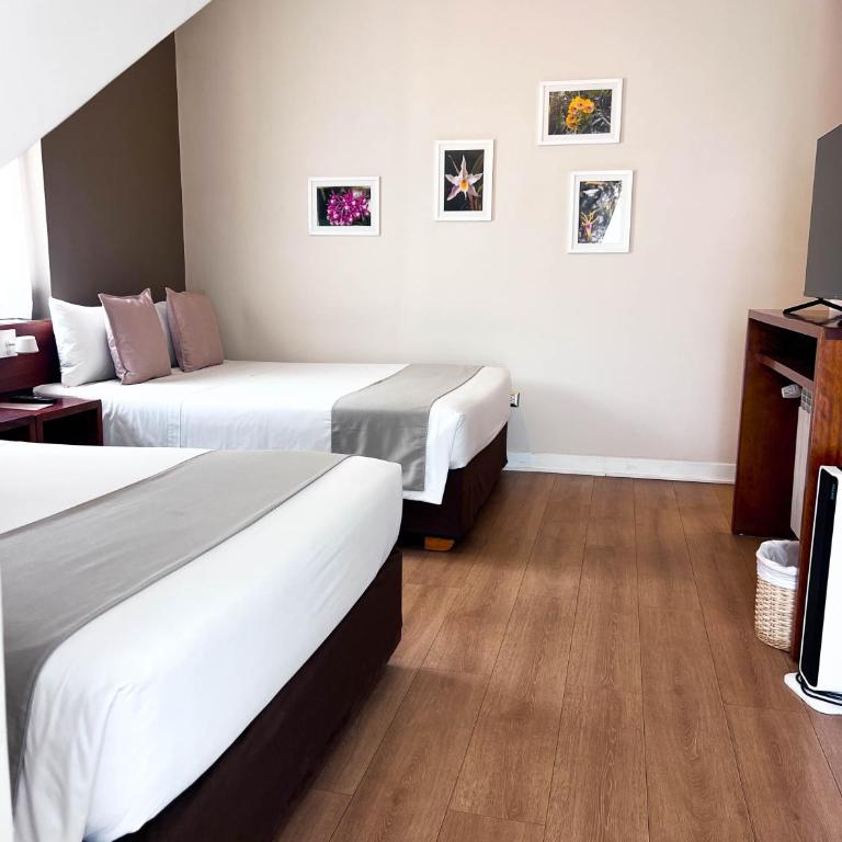 Saska Boutique Hotel - Habitación Doble - 2 camas dobles - 10