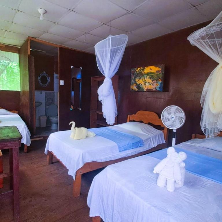 Jacamar Lodge Expeditions - Habitación Triple con baño privado - 2
