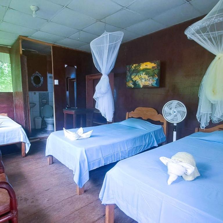Jacamar Lodge Expeditions - Habitación Triple con baño privado - 4