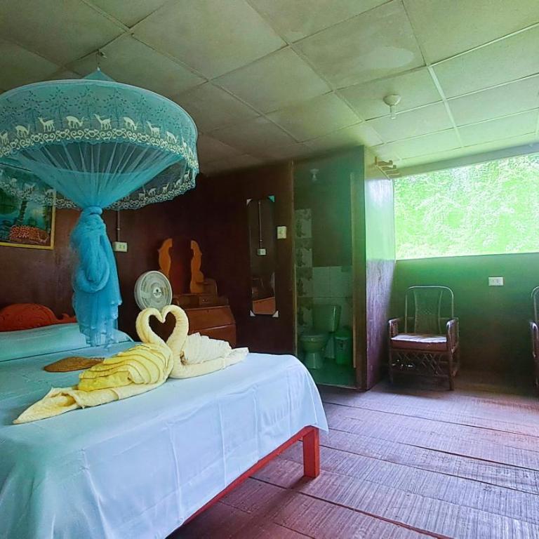 Jacamar Lodge Expeditions - Bungalow Familiar - 2