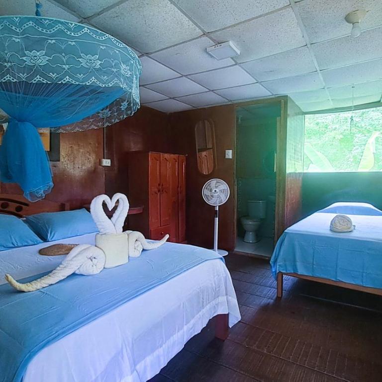 Jacamar Lodge Expeditions - Bungalow with Garden View - 5