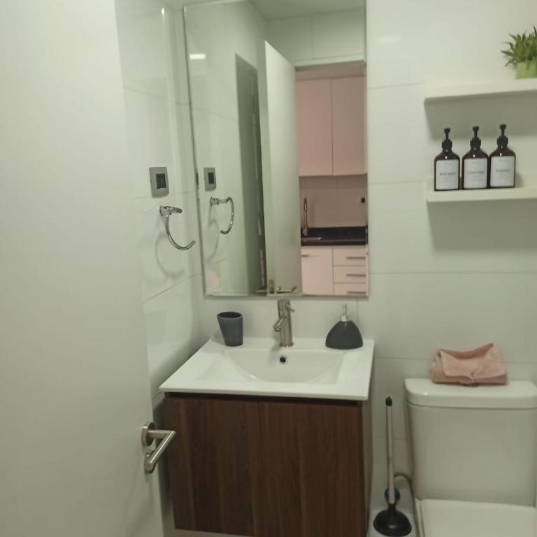 Departamento Estudio Isla Teja Vista Hermosa Humedal - One-Bedroom Apartment - 6