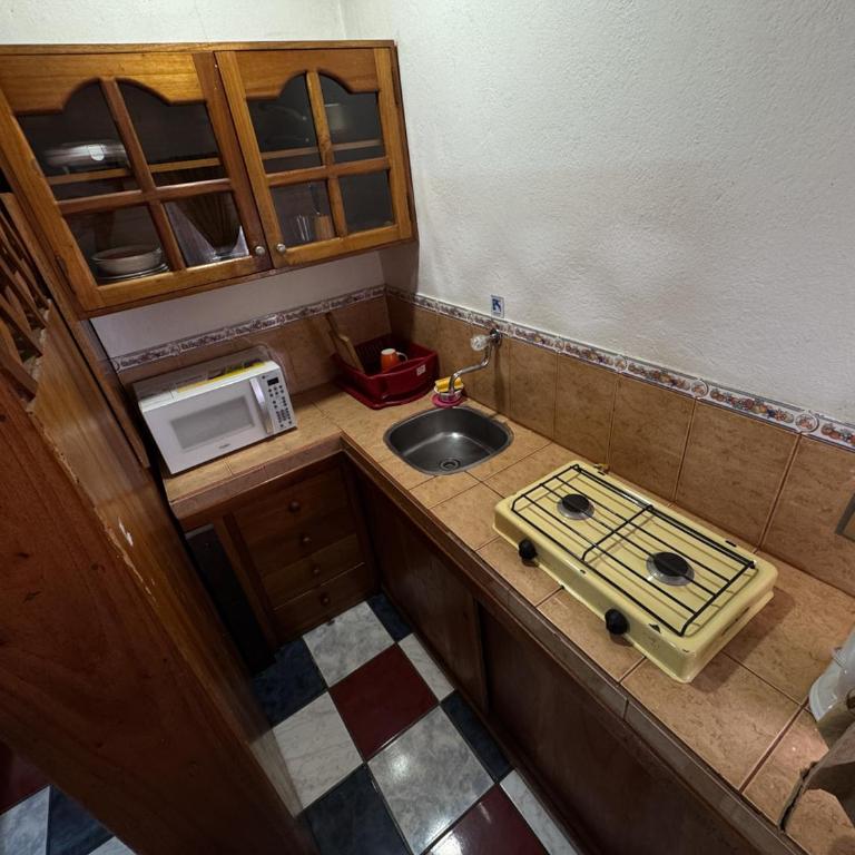 Maytenus Galapagos - Apartment - Ground Floor - 7