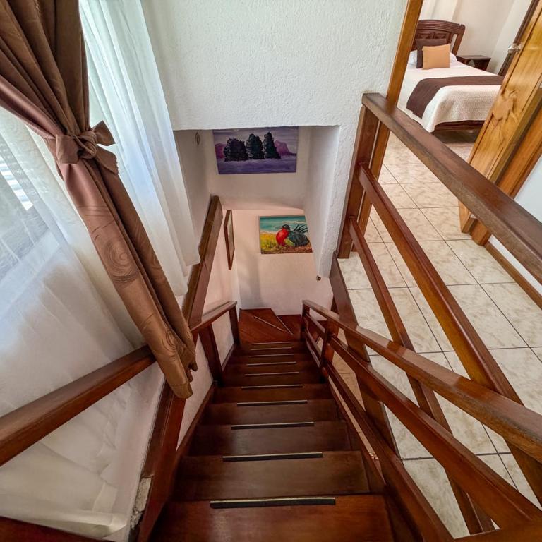 Maytenus Galapagos - Apartment - Split Level - 5