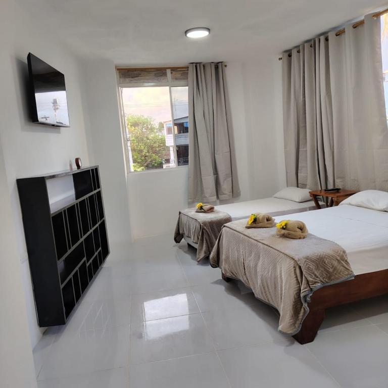 Galápagos Apartments - One-Bedroom Apartment - 1