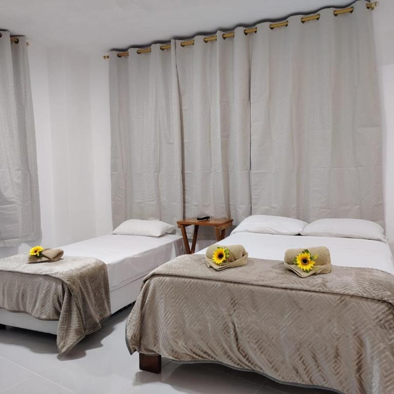 Galápagos Apartments - One-Bedroom Apartment - 2