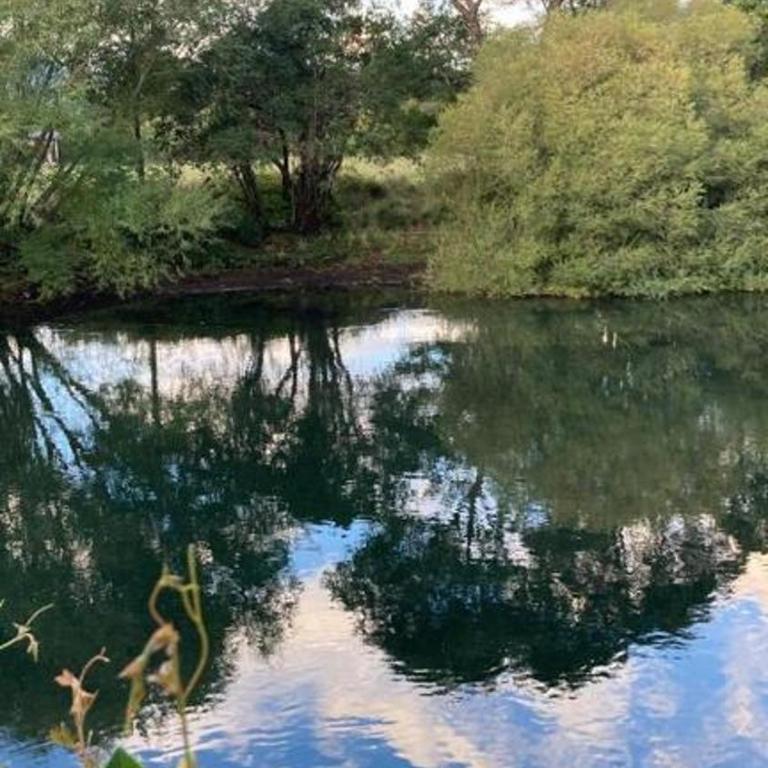 Cabaña Pucón - Two-Bedroom House - 27