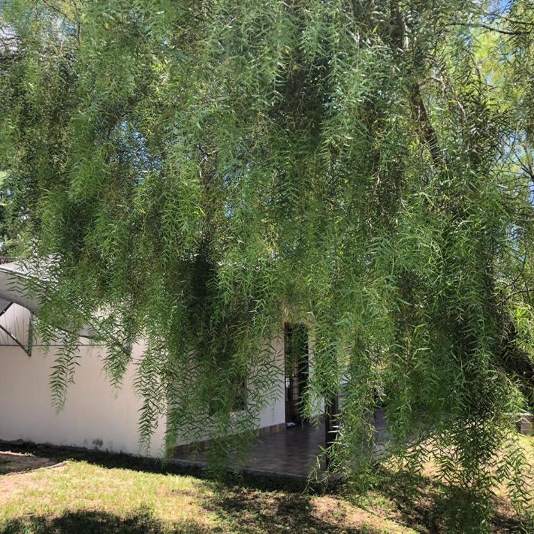 La Casa de Juan - Casa de 2 dormitorios - 11