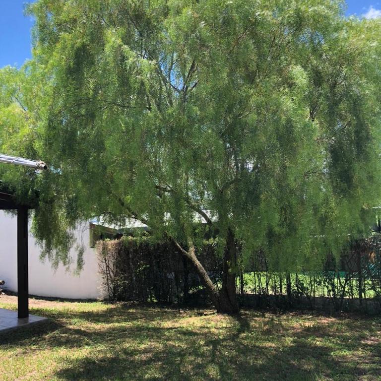 La Casa de Juan - Casa de 2 dormitorios - 24