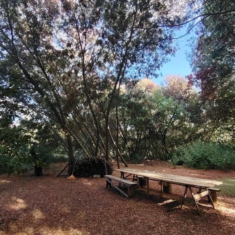 Family home on private plot with access to the river - Three-Bedroom Vacation Home - 17