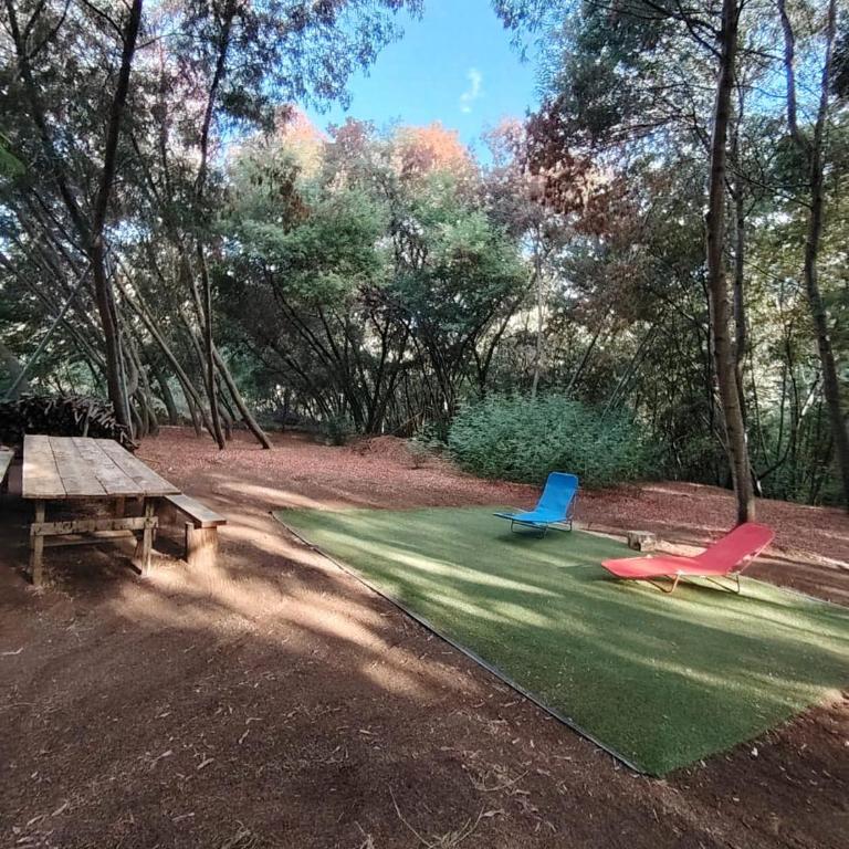 Family home on private plot with access to the river - Three-Bedroom Vacation Home - 18