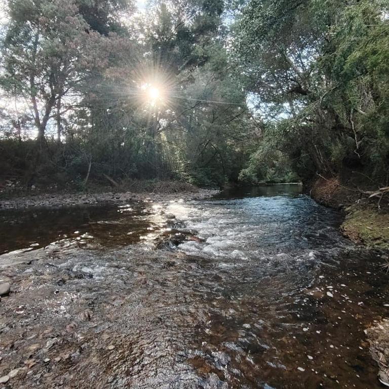Family home on private plot with access to the river - Three-Bedroom Vacation Home - 21