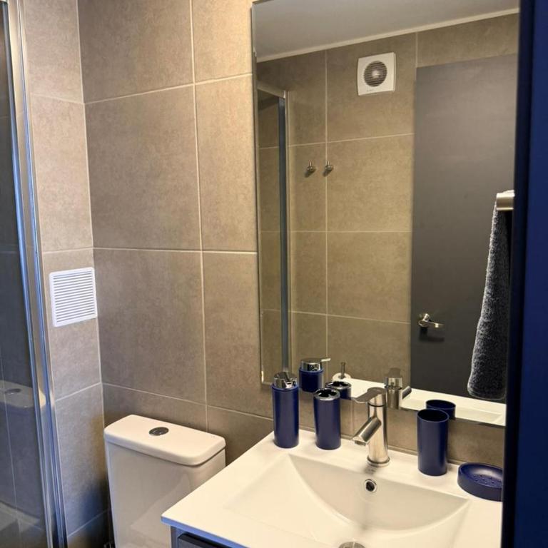 Studio Toesca 2145 - One-Bedroom Apartment - 18