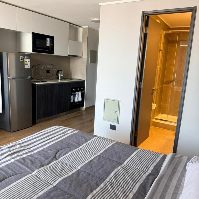 Studio Toesca 2145 - One-Bedroom Apartment - 20
