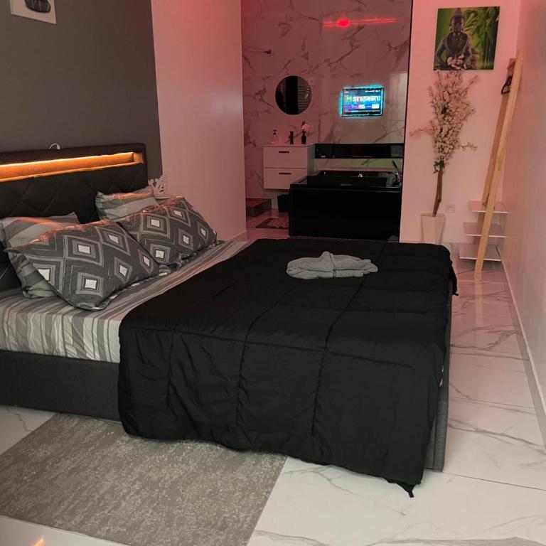 Suite Zen L Amaryllis Jacuzzi TV Integrée Clim Wifi Béziers Centre Arrivée Autonome 24h24 - Appartement - Rez-de-Chaussée - 3