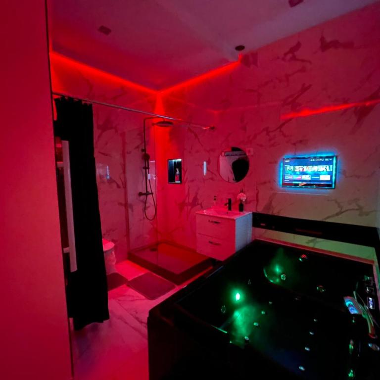 Suite Zen L Amaryllis Jacuzzi TV Integrée Clim Wifi Béziers Centre Arrivée Autonome 24h24 - Appartement - Rez-de-Chaussée - 2