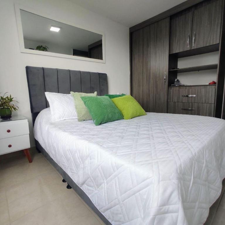 Apartamento frente a la montaña en Armenia Quindio - 1 Dormitorio Piso 11 - One-Bedroom Apartment - 11