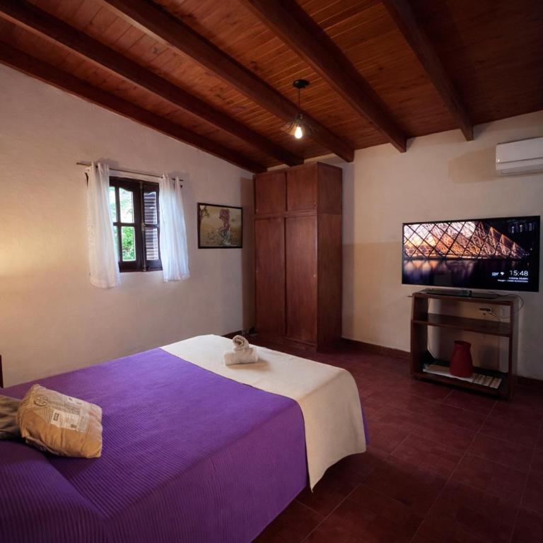El Bosque de Simba - Cabaña - Casa con 1 dormitorio - 14