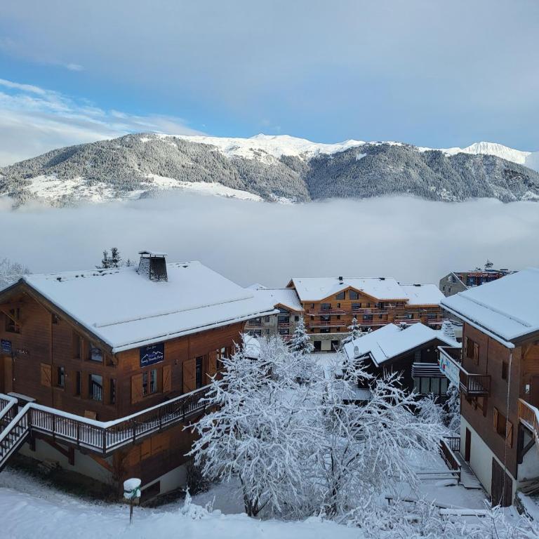 Chalet Courchevel La Tania - 14 personnes - 7 chambres 7 salles de bains - 40 m des pistes - Chalet - 3