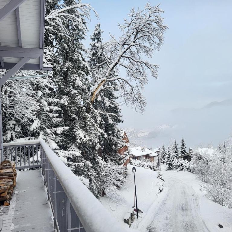 Chalet Courchevel La Tania - 14 personnes - 7 chambres 7 salles de bains - 40 m des pistes - Chalet - 1