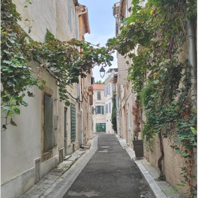 Arles, quartier calme proche du centre - Apartment mit 1 Schlafzimmer - 2