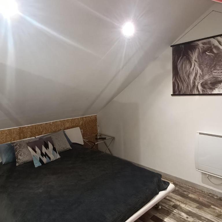 Gîte Sauna Balnéo Lâchez Prise Meublé de tourisme classé 3 étoiles VERTON - Casa con 1 dormitorio - 8