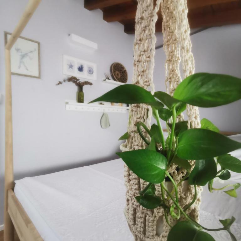 Al Molino - Appartamento con 1 Camera da Letto - 38